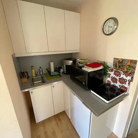 Am Traunsee Apartment Altmünster