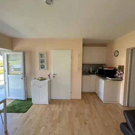 Apartment Am Traunsee Altmünster