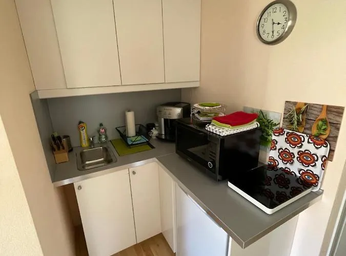 Am Traunsee Apartmán Altmünster